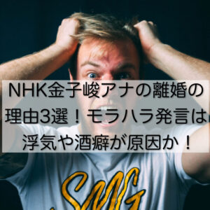 NHK金子峻アナの離婚の理由3選！モラハラ発言は浮気や酒癖が原因か！