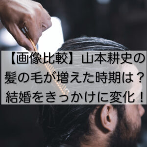 【画像比較】山本耕史の髪の毛が増えた時期は？結婚をきっかけに変化！